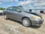 2005 TOYOTA COROLLA