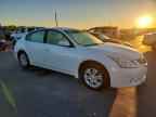 2010 NISSAN ALTIMA
