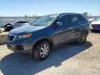 2011 KIA SORENTO