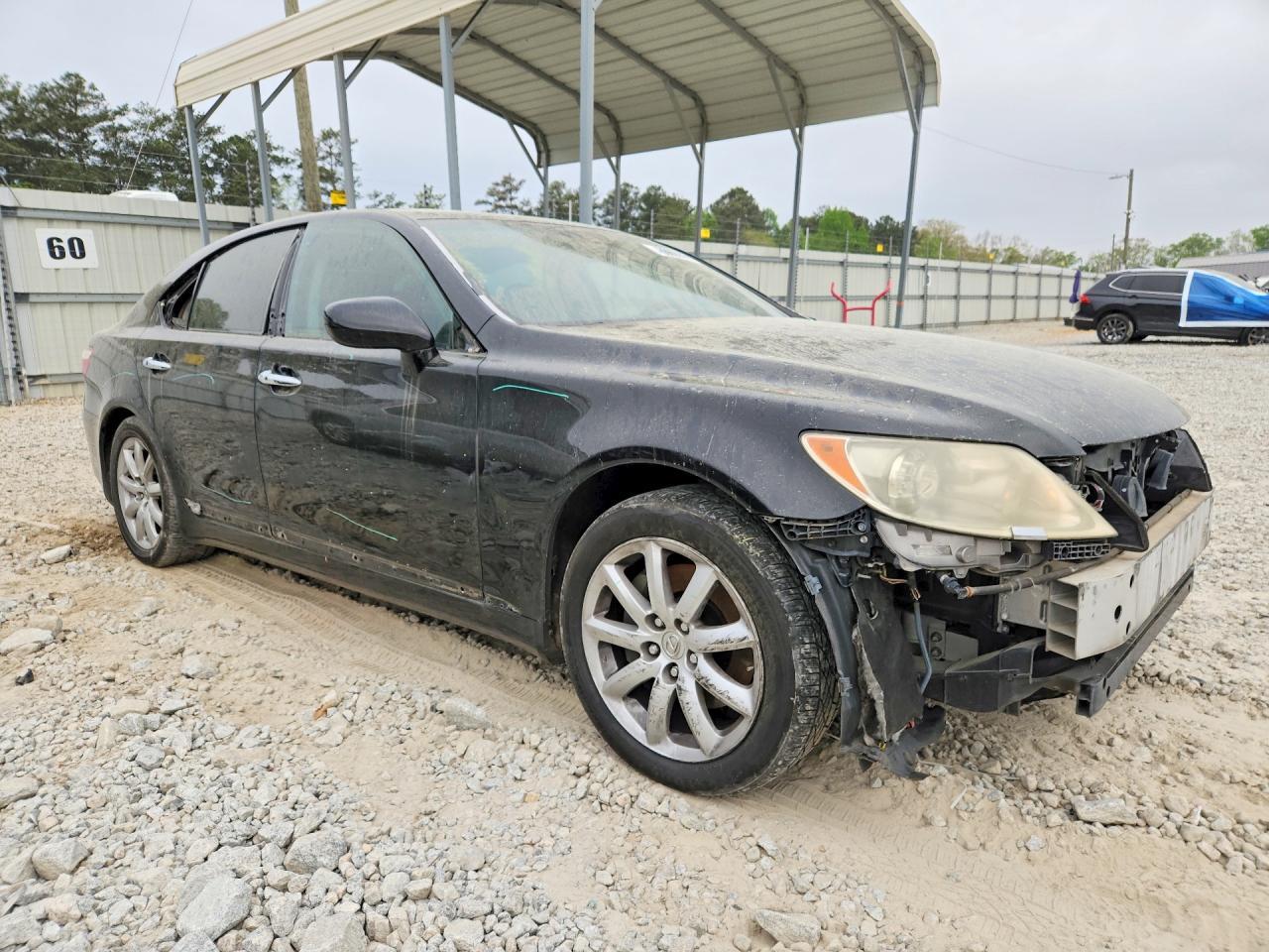2009 LEXUS LS 460