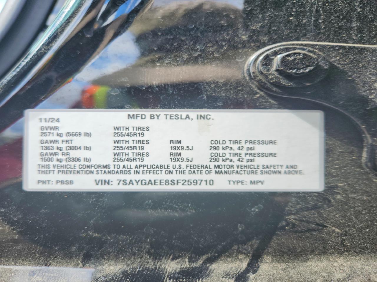 2025 TESLA MODEL Y