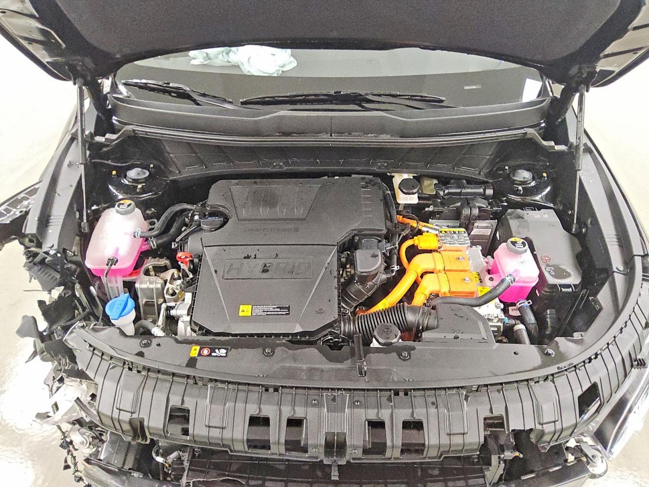 2026 KIA Niro