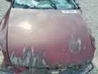 2004 HONDA ACCORD