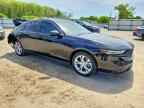 2024 Hond Accord