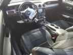 2023 FORD MUSTANG