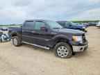 2013 FORD F-150 Lightning