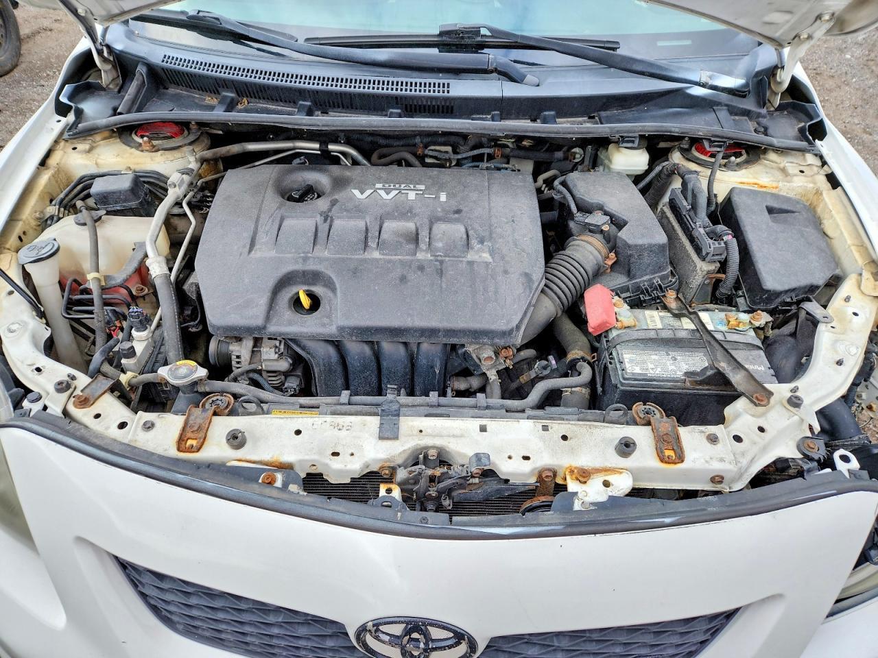 2010 TOYOTA COROLLA