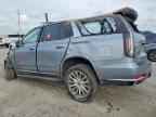 2024 CADILLAC ESCALADE