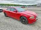 2013 DODGE CHARGER
