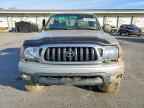 2003 TOYOTA TACOMA