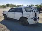2023 TOYOTA 4Runner