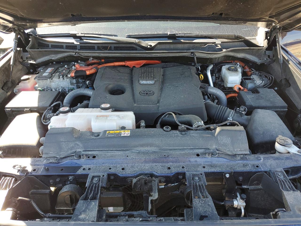 2024 TOYOTA Sequoia
