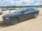 2014 DODGE CHARGER