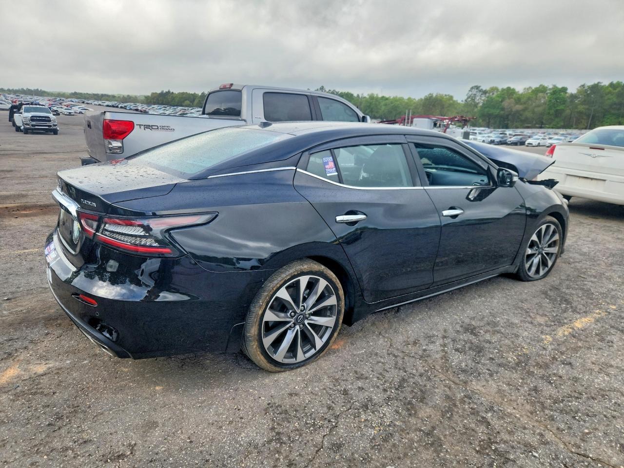 2023 NISSAN Maxima