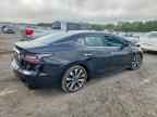2023 NISSAN Maxima