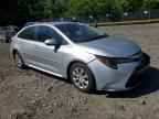 2024 STERLING Corolla