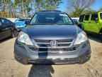 2010 HONDA CR-V