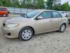 2009 TOYOTA COROLLA