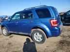 2010 FORD ESCAPE