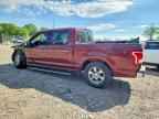 2016 FORD F-150 Lightning