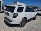 2024 TOYOTA 4Runner