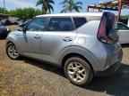 2025 KIA SOUL