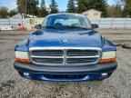 2004 DODGE Dakota