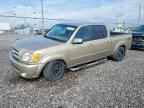 2004 TOYOTA TUNDRA