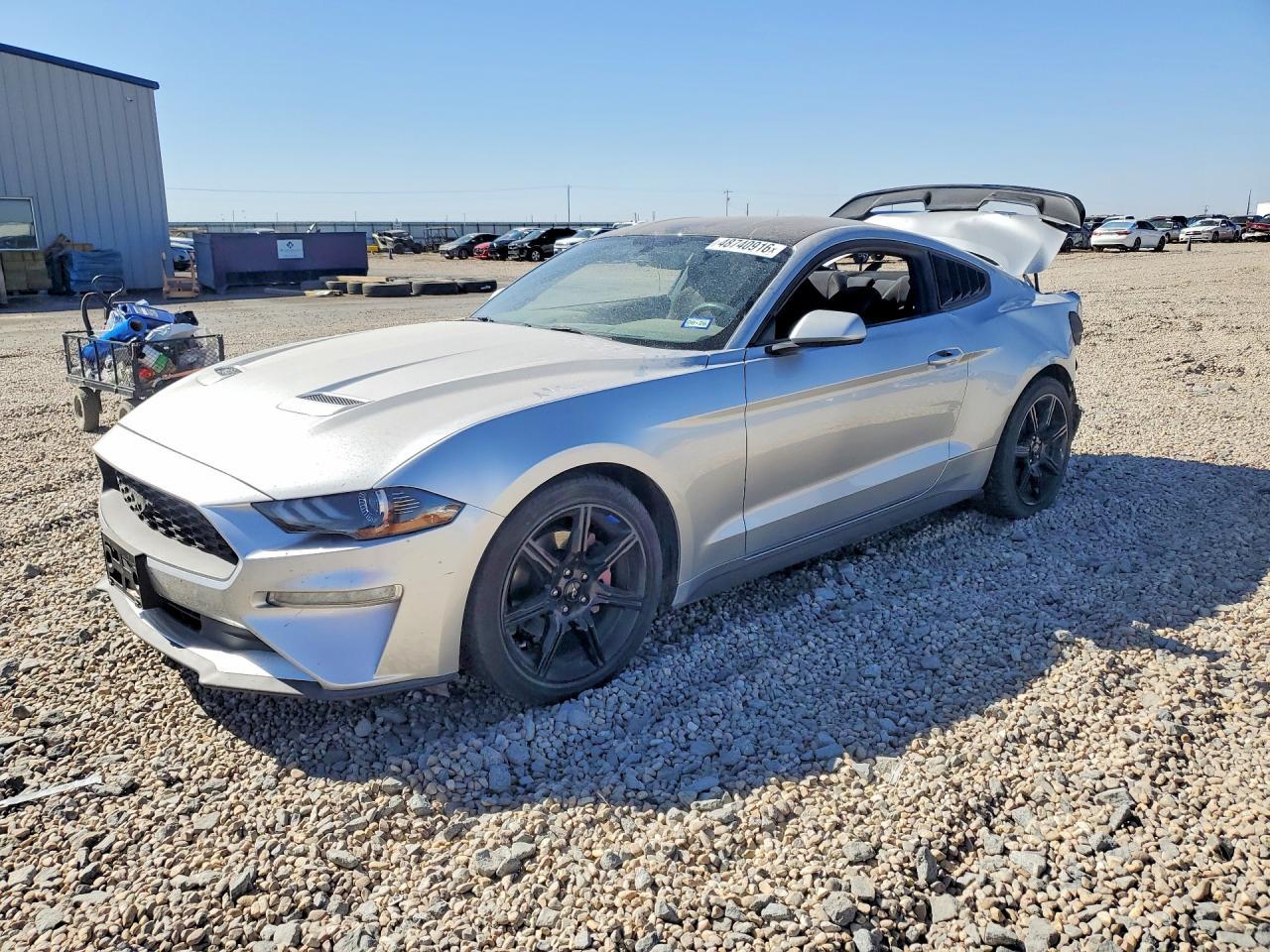 2019 FORD MUSTANG