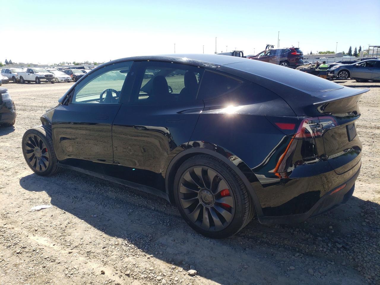 2024 TESLA MODEL Y