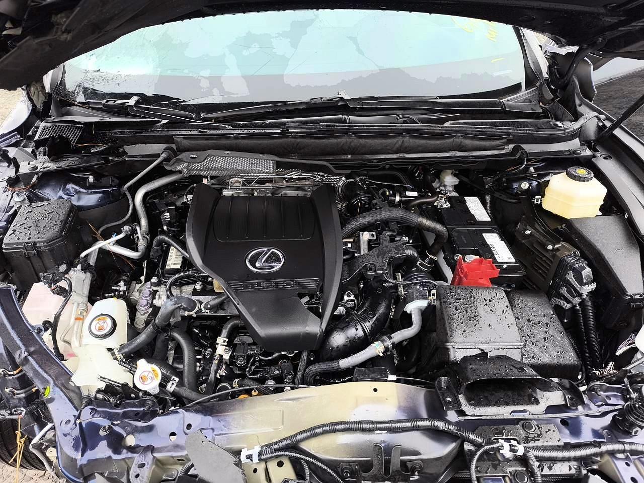 2024 LEXUS RX 350