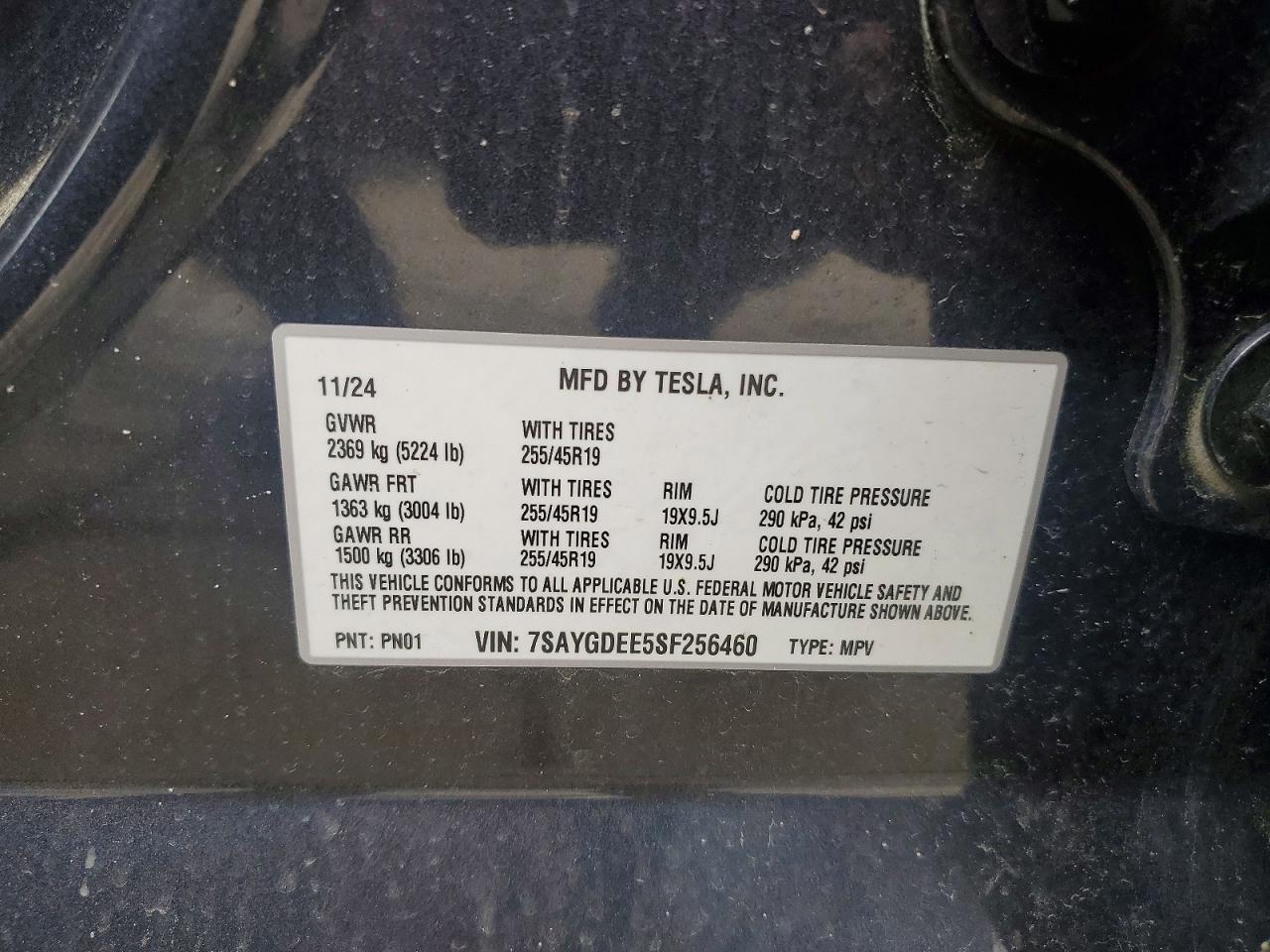 2025 TESLA MODEL Y