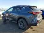 2026 LEXUS NX 350