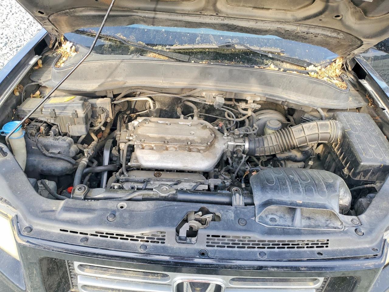 2007 HONDA Ridgeline
