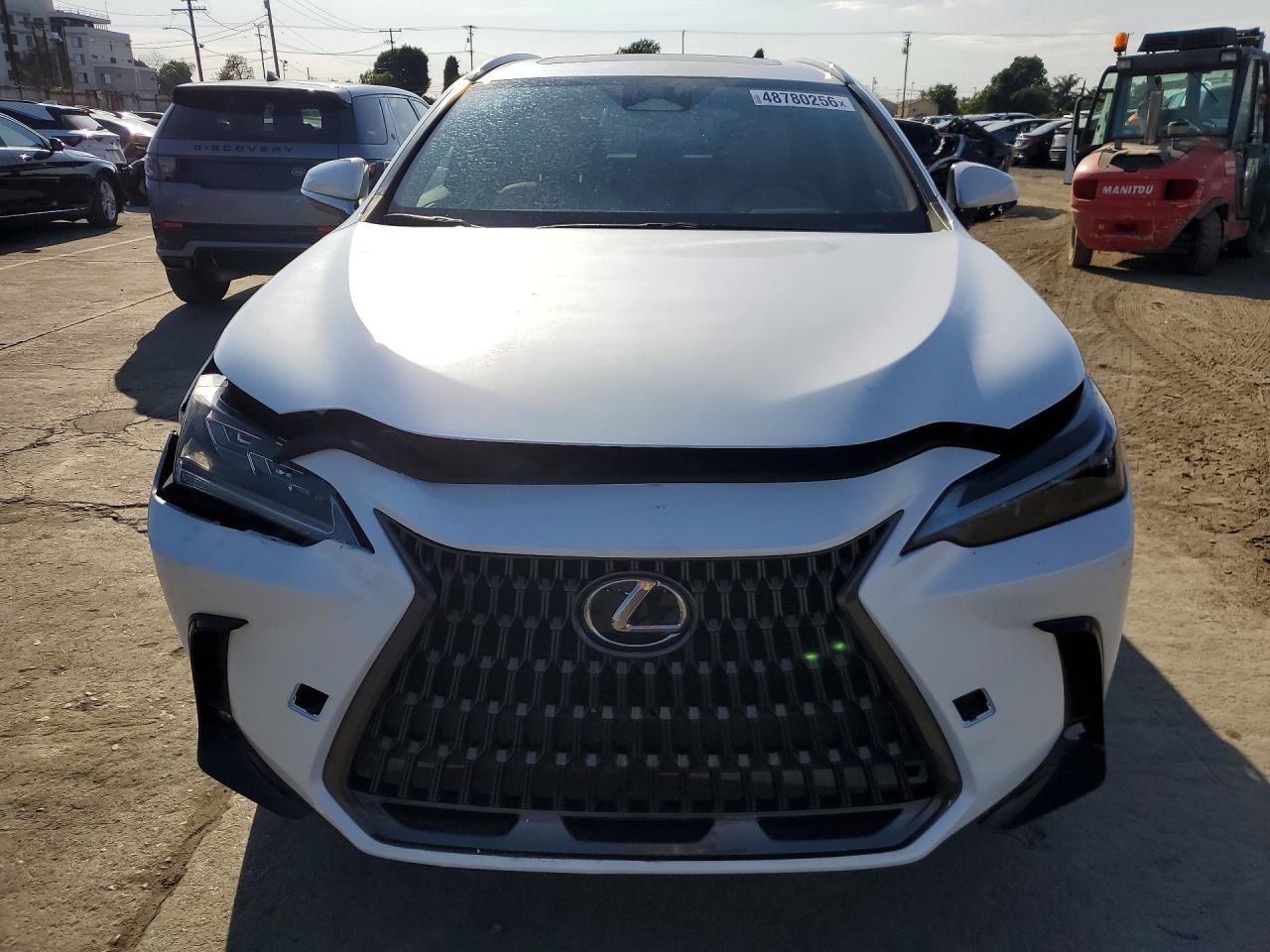 2024 LEXUS NX 250