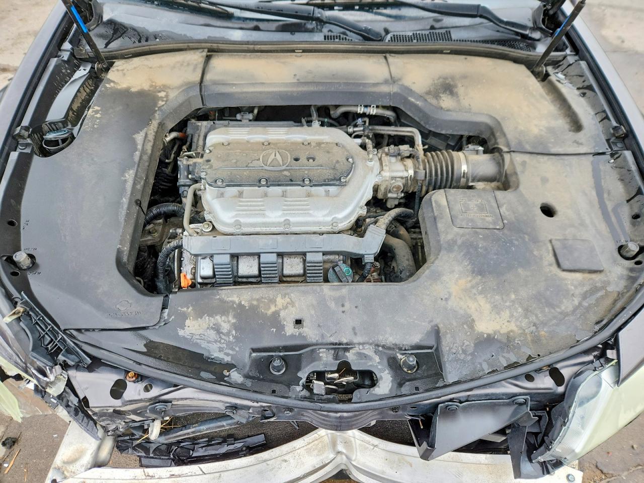 2010 ACURA TL