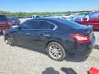 2011 NISSAN Maxima