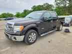 2013 FORD F-150 Lightning