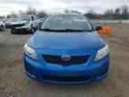 2010 Toyt Corolla