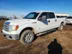 2013 FORD F-150 Lightning