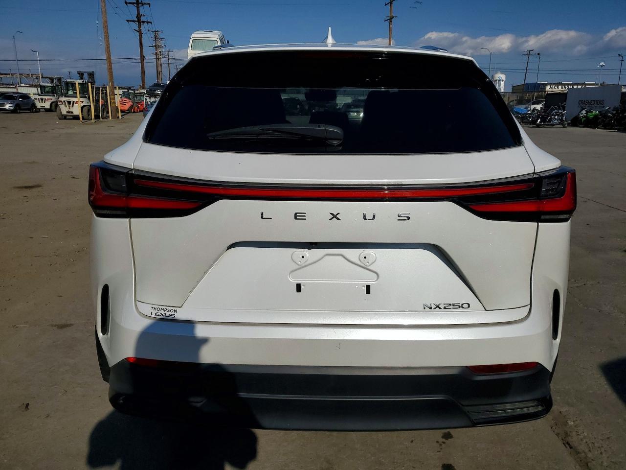 2024 LEXUS NX 250