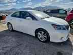 2010 LEXUS HS 250h