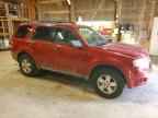 2009 FORD ESCAPE