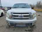 2013 FORD F-150 Lightning