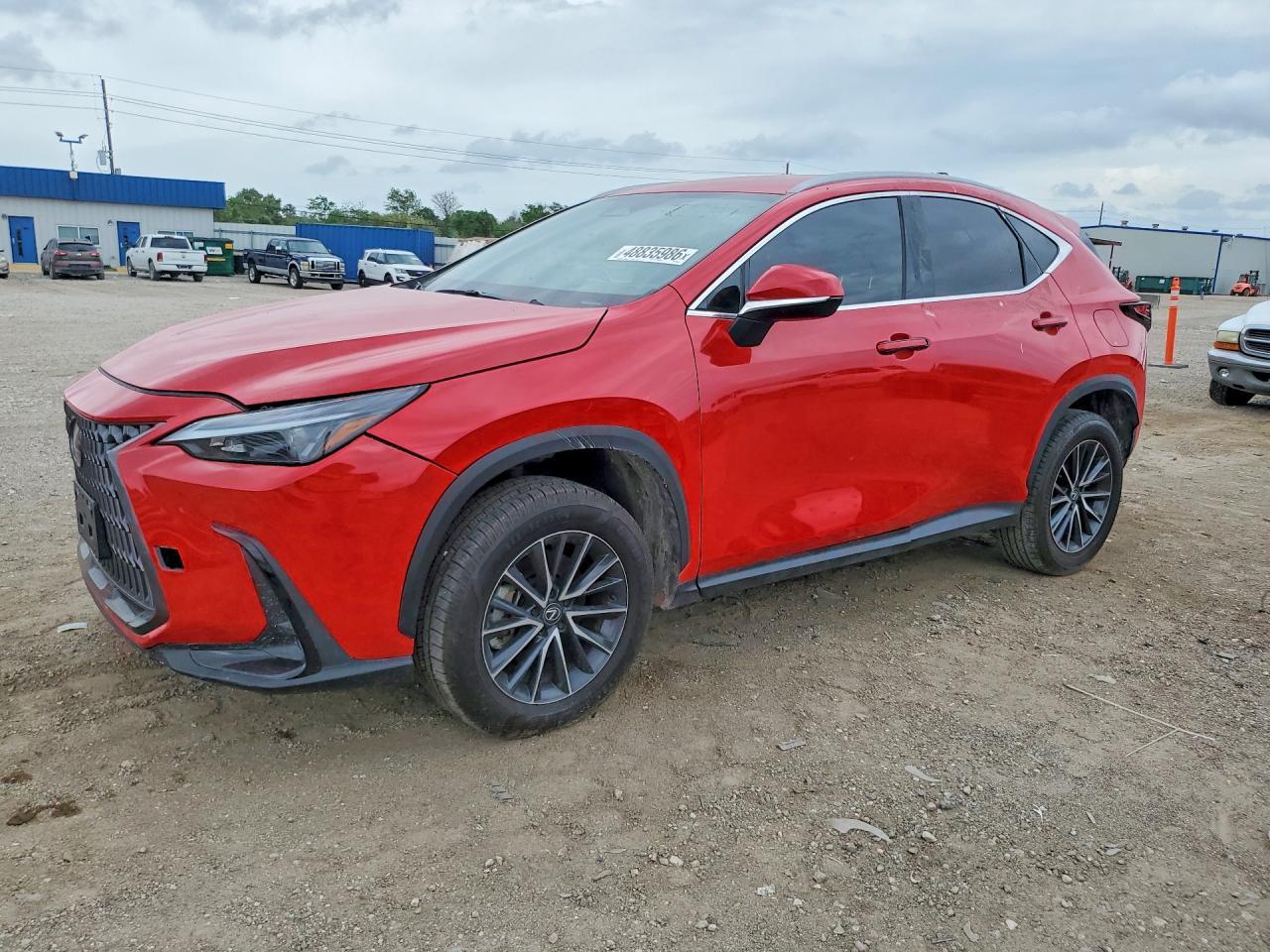 2024 LEXUS NX 250