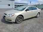 2009 CHEVROLET MALIBU