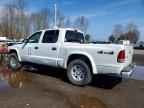 2004 DODGE Dakota