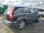 2010 HONDA CR-V
