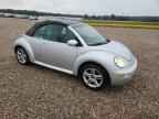 2005 VOLKSWAGEN Beetle