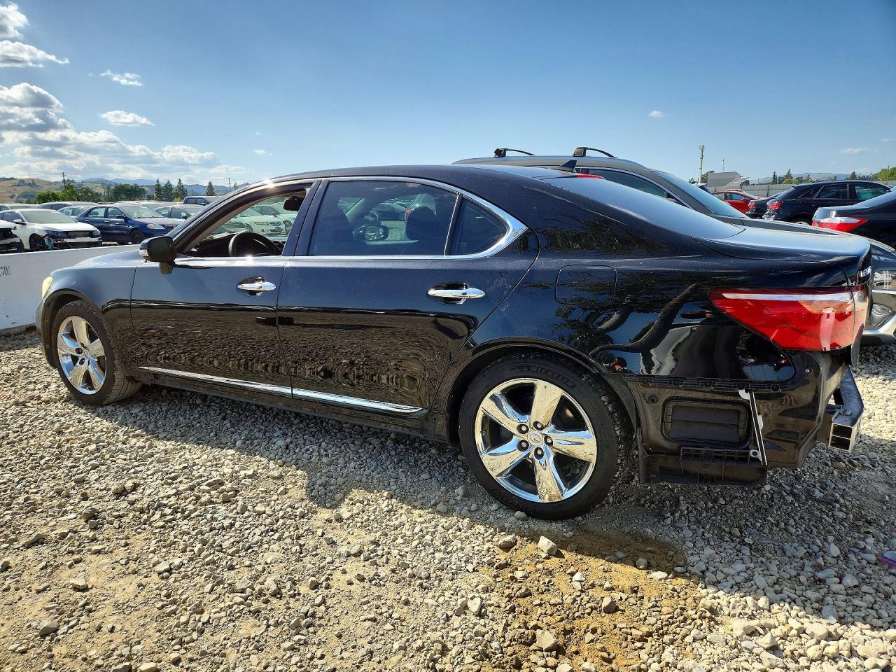 2010 LEXUS LS 460